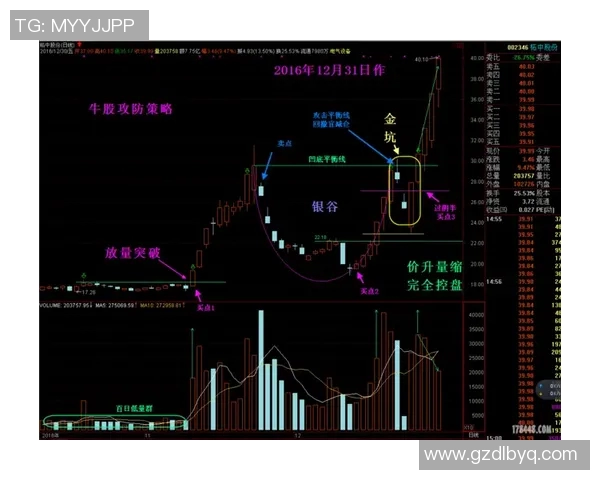 巴西与秘鲁角球数对比分析揭示比赛战术与攻防策略