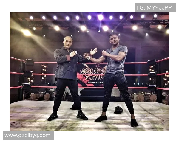 2017年搏击盛事播求对决一龙精彩瞬间回顾与分析