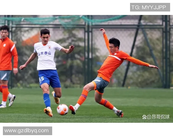 中国男篮迎战尼日利亚强强对决引发球迷热议与期待