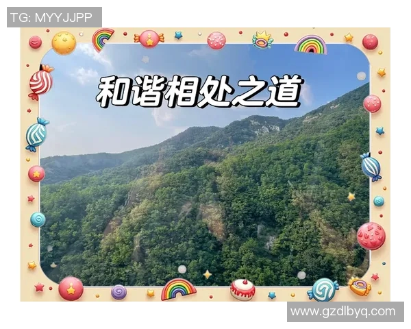 在顾全大局中寻求个人价值与团队协作的平衡之道