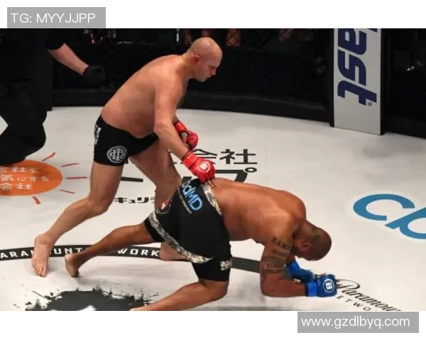UFC温盾对决菲多精彩回顾与赛后分析揭示拳坛新格局