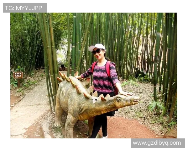 南京攀岩队区域防守战术解析与实战应用探讨 南京攀岩队区域防守战术解析与实战应用探讨