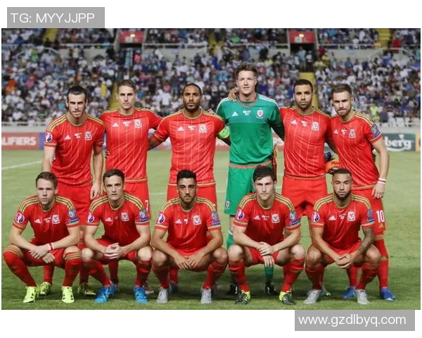 威尔士与斯洛伐克首发阵容分析及比赛前瞻 威尔士与斯洛伐克首发阵容分析及比赛前瞻