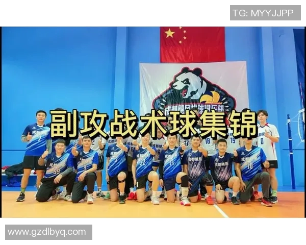 杭州排球队反击战术解析与实战应用探讨 杭州排球队反击战术解析与实战应用探讨