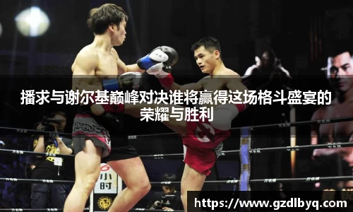 播求与谢尔基巅峰对决谁将赢得这场格斗盛宴的荣耀与胜利